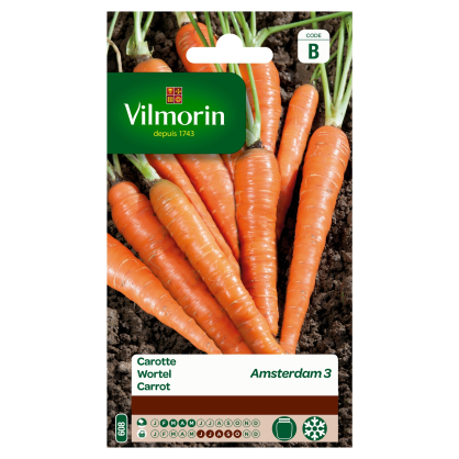 Semences de carotte Amsterdam 3 VILMORIN