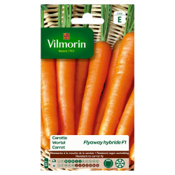 Semences Carotte Flyaway F1 – Récolte Facile | VILMORIN