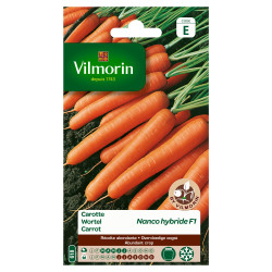 Carotte Nanco F1 – Semis facile | VILMORIN
