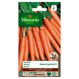 Semences de carotte Bolero hybride F1 3 g VILMORIN