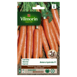 Semences de carotte Bolero hybride F1 10 g VILMORIN