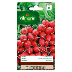 Semences Radis Rond Écarlate 10g – Récolte Rapide | VILMORIN