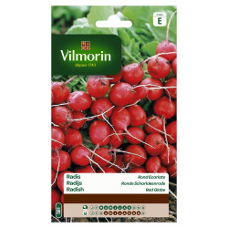 Semences Radis Rond Écarlate 30g – Récolte Rapide | VILMORIN