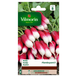 Semences Radis Flamboyant – Récolte Rapide | VILMORIN