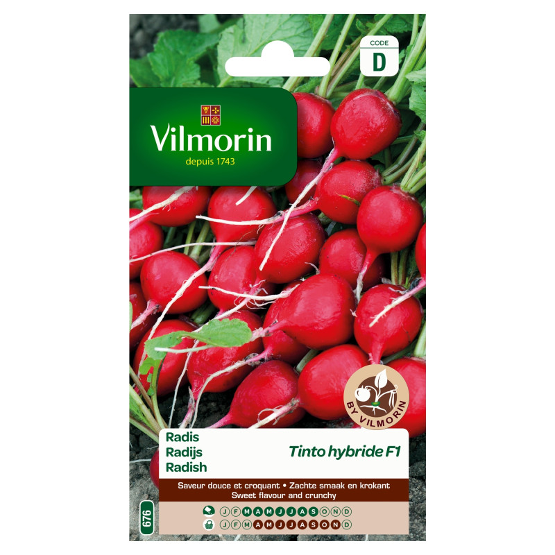 Semences de radis Tinto hybride F1 VILMORIN