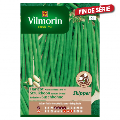 Semences de haricot nain Filet Sans Fil Extra fin Skipper VILMORIN