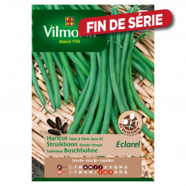 Semences de haricot nain Filet Sans Fil Eclarel 160 g VILMORIN
