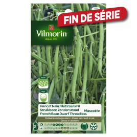 Semences de haricot nain Filet Sans Fil Mascotte 35 g VILMORIN