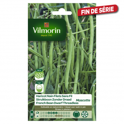 Semences de haricot nain Filet Sans Fil Mascotte 35 g VILMORIN