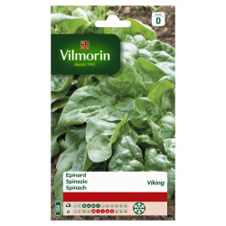 Semences Épinard Viking 50g – Récolte Facile | VILMORIN