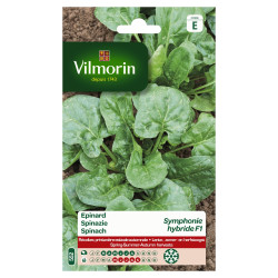 Semences Épinard Symphonie F1 – Récolte Abondante | VILMORIN


