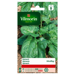 Semences Épinard Viroflay – Récolte Abondante | VILMORIN

