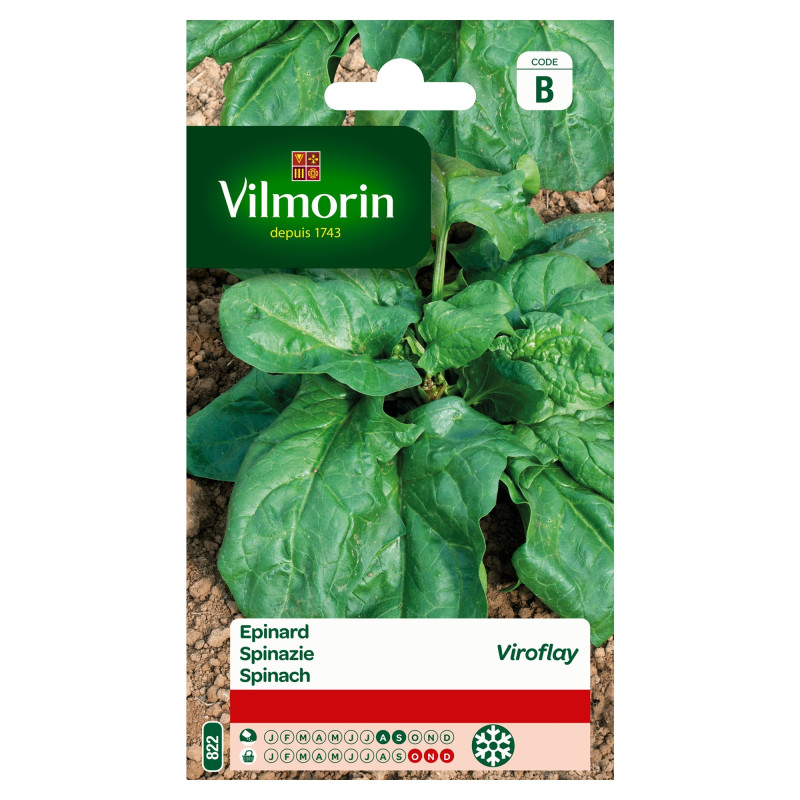 Semences d'épinard Viroflay VILMORIN