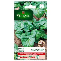 Semences Épinard Parys Hybride F1 – Récolte Facile | VILMORIN