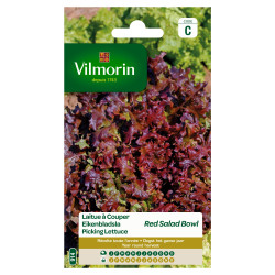 Semences Laitue Red Salad Bowl – Facile à cultiver | VILMORIN


