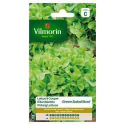 Semences Laitue Salad Bowl – Facile à cultiver | VILMORIN


