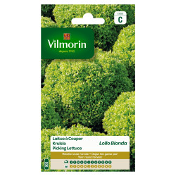 Semences Laitue Lollo Bionda – Facile à cultiver | VILMORIN

