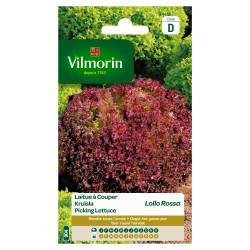 Semences Lollo Rossa – Laitue à couper facile | VILMORIN

