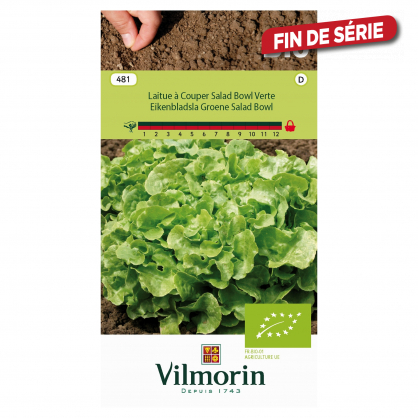 Semences de laitue à couper Salad Bowl Bio VILMORIN