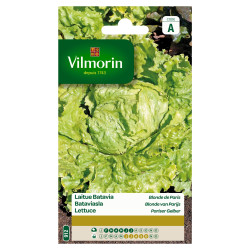 Semences Laitue Batavia Blonde de Paris – Facile à cultiver | VILMORIN