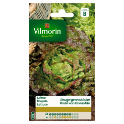 Semences Laitue Batavia Rouge Grenobloise – Facile à cultiver | VILMORIN