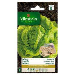 Semences Laitue Gotte Dorée – Facile à cultiver | VILMORIN

