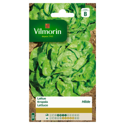 Semences de laitue Hilde VILMORIN – Laitue Croquante | VILMORIN

