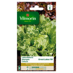 Semences Laitue Batavia Great Lakes – Récolte Abondante | VILMORIN

