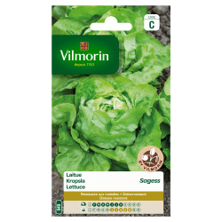 Semences Laitue Sagess VILMORIN – Récolte Facile | VILMORIN