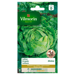 Semences Laitue Divina – Cultivez votre jardin | VILMORIN