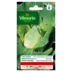 Semences Chou Cœur de Bœuf – Culture Facile | VILMORIN

