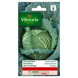 Semences Chou Milan Gros des Vertus – Jardinage Facile | VILMORIN