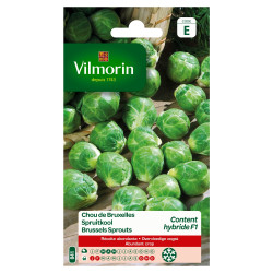 Semences Chou Bruxelles Content F1 – Hybride Productif | VILMORIN

