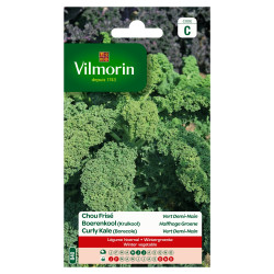 Semences Chou Frisé Vert Demi-Nain – Jardinage Facile | VILMORIN

