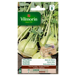 Semences Chou Rave Blanc de Vienne – Facile à cultiver | VILMORIN

