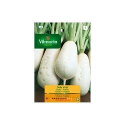 Semences Navet Blanc des Vertus – Facile à cultiver | VILMORIN

