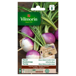 Semences Navet Blanc Globe Violet – Jardinage Facile | VILMORIN