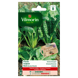 Semences Poirée Verte à Couper VILMORIN – Récolte Facile | VILMORIN