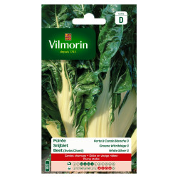 Semences Poirée Verte à Carde Blanche – Culture Facile | VILMORIN
