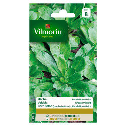 Semences Mâche Ronde Maraîchère – Récolte Facile | VILMORIN