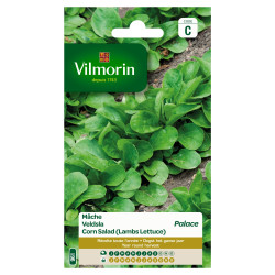 Semences Mâche Palace VILMORIN – Récolte Facile | VILMORIN