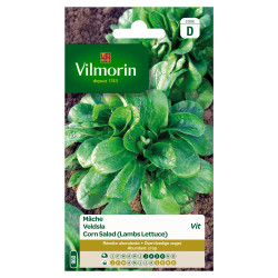 Semences de mâche Vit VILMORIN – Récolte Facile | VILMORIN

