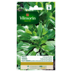 Semences Mâche Grosse Graine – Récolte Facile | VILMORIN

