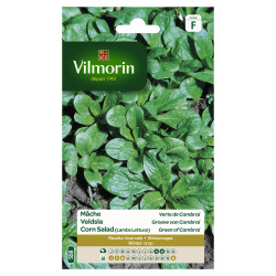 Semences Mâche Verte de Cambrai 15g – Facile à cultiver | VILMORIN

