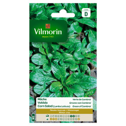 Semences Mâche Verte de Cambrai – Facile à cultiver | VILMORIN

