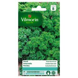 Semences Persil Frisé Vert Foncé VILMORIN – Cuisine Facile | VILMORIN