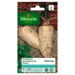 Semences Persil Racine Halbange – Saveur Authentique | VILMORIN

