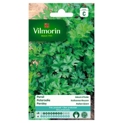 Semences Persil Géant d'Italie 5g – Cultivez Facile | VILMORIN
