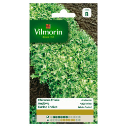 Semences Chicorée Endivette Frisée – Facile à cultiver | VILMORIN

