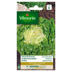 Chicorée Scarole Grosse Bouclée – Semis Facile | VILMORIN